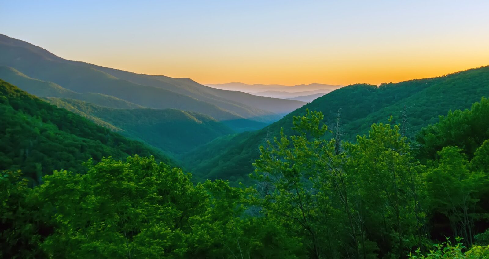 Planning a Backcountry Fly Fishing Trip to Great Smoky Mountains